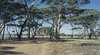 Lake Dumbleyung