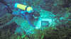 Carlisle Castle Shipwreck