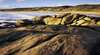 Cape Conran Coastal Park