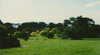Nortons Park
