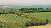 Stonier Wines