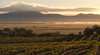 Montara Winery