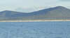 Gabo Island