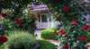 Bed & Breakfast at Stephanie