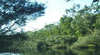 Crawford River Regional Park
