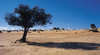 Big Desert Wilderness