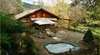 Forget Me Not Cottages