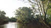Banksia Park