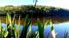 Aura Vale Lake Park