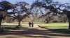 Bishopscourt Bed and Breakfast