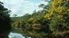 Warrandyte State Park