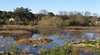Coolart Wetlands and Homestead