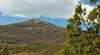 Burrowa-Pine Mountain National Park