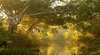 Brimbank Park