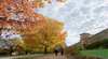 Beechworth Historic Park