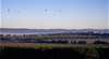 Maroondah Orchards