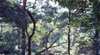 Morwell National Park