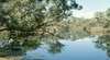 Wyperfeld National Park