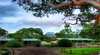 Southern Grampians Cottages
