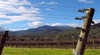 Annapurna Estate Restaurant and Cellar Door