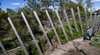 Herring Island Environmental Sculpture Park