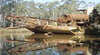 Maldon Historic Reserve