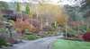 Mast Gully Gardens