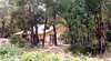 Otway Estate