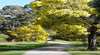 Wattle Park