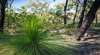 Brisbane Ranges National Park