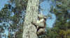Creswick Regional Park