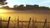 Nicholson River Winery