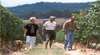 Yarra Track Wines
