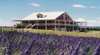 Serendipity Lavender Farm