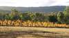 Steels Creek Estate