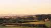 Elan Vineyard and Winery