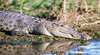 Hunter Safaris Northern Territory