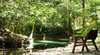 Daintree Wilderness Lodge