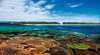 Great Barrier Reef Day Trip to Lady Elliot Island