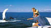 Fraser Island Whale Watch Cruise