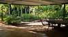 Mango Meadows Homestay