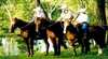 Stoney Creek Trail Rides