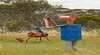 Tin Horse Highway
