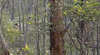 Heathcote-Graytown National Park