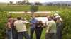 Australian Wine Tour Company