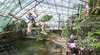 Cairns ZOOm and Wildlife Dome