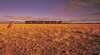 Nullarbor Plain