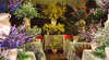Busselton Wildflower Exhibition
