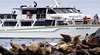 Wildlife Coast Cruises