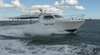 Ace Fishing Charters